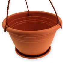 Produkt Wiszący kosz Galicia Ø30cm terakota