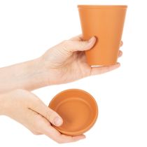 Produkt Zbiornik na wodę Aquasafe z poidłem dla owadów do ogrodu, balkonu, tarasu, 12 cm, 3 sztuki