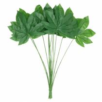 Produkt Aralia liść z łodygą zielony L61,5cm 12szt.