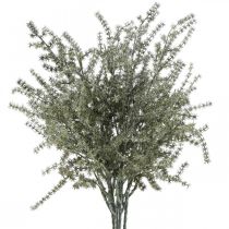 Dekoracyjna gałązka szparagów bielona sztuczna 45cm 6szt
