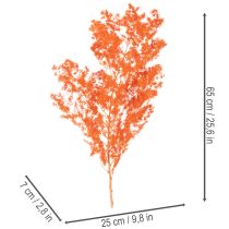 Produkt Suszone kwiaty szparagów, gałązka, ozdobne szparagi barwione, 65 cm, 80 g