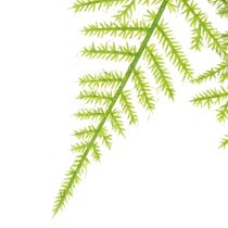 Produkt Sztuczny szparag jako roślina wisząca do mało wymagającej dekoracji domu, 75 cm