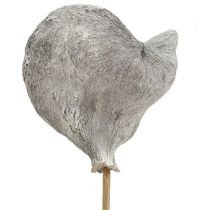 Produkt Badam na patyku bielony 12cm L55cm 23 szt