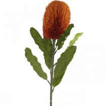 Produkt Sztuczny Kwiat Banksia Pomarańczowy Jesienna Dekoracja Pogrzebowa Kwiatowy 64cm