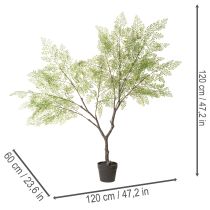Produkt Sztuczne drzewko z delikatnymi liśćmi, 120 cm