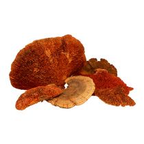 Produkt Gąbka drzewna pomarańczowa 1kg