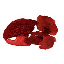 Produkt Gąbka drzewna czerwona 1kg