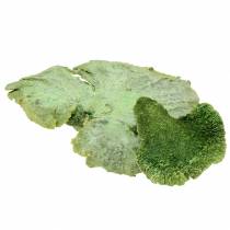 Produkt Gąbka drzewiasta zielona biała myta 1kg