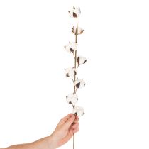 Produkt Sztuczna gałązka bawełny z 8 prawdziwymi kwiatami, 78 cm