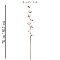 Produkt Sztuczna gałązka bawełny z 8 prawdziwymi kwiatami, 78 cm