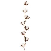 Produkt Sztuczna gałązka bawełny z 8 prawdziwymi kwiatami, 78 cm