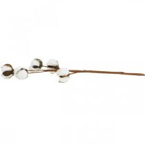 Produkt Ozdoba z gałązek bawełnianych Gałązka ozdobna z prawdziwej bawełny 5 główek 50cm