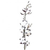 Produkt Gałązka bawełniana kwiaty bawełniane sztuczny brązowy biały L95cm