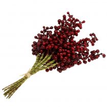 Produkt Berry Pick Red 23cm 12 szt.