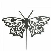 Wtyczka metalowa motylek czarna 10,5×8/44cm 3szt
