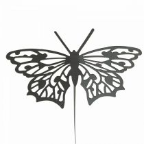 Produkt Wtyczka kwiatowa metalowa motylkowa czarna 10,5×8/44cm 3 szt
