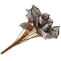 Produkt Sztuczny krzew begonii zielony, purpurowy 34cm