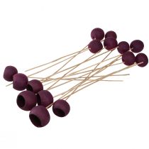 Produkt Kielich dzwonkowy na nóżce, dekoracja sucha, florystyka pogrzebowa, wino czerwone 15 szt.