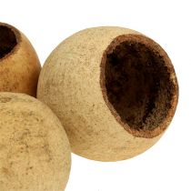 Produkt Kubki Bell Cup małe naturalne 25 szt