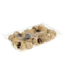 Produkt Kubki Bell Cup małe naturalne 25 szt