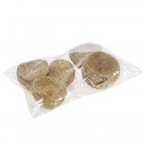 Produkt Kubek Dzwonek Suszony Naturalny Dekoracja Żałobna 8,5-11cm 10 szt