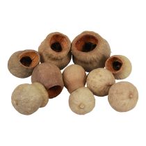 Produkt Bellgum Bell Fruit kapsułka owocowa naturalna dekoracja brązowa 500g
