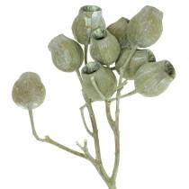Produkt Gałązka Bellgum 5cm - 7cm zielona matowa 20 szt