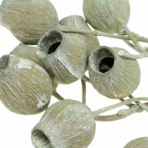 Produkt Gałązka Bellgum 5cm - 7cm zielona matowa 20 szt