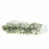 Produkt Gałązka Bellgum 5cm - 7cm zielona matowa 20 szt