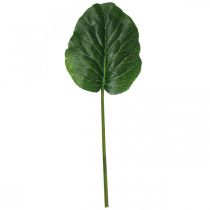 Produkt Sztuczna zielona roślina Bergenia Zielona sztuczna roślina 53cm