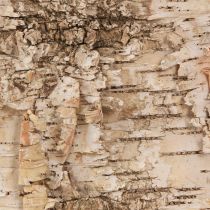 Produkt Kora brzozowa listwy dekoracyjne z kory naturalnej białej 48×15cm 6 sztuk