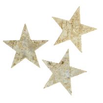 Gwiazdy brzozowe 9cm 70szt