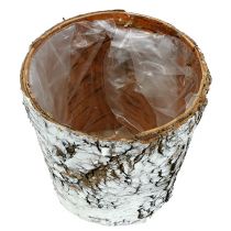 Produkt Brzozowa doniczka mała brzoza biała Ø10cm W8,5cm 6 szt