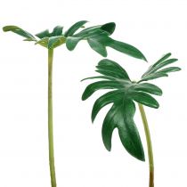 Produkt Liść filodendronu 31cm zielony 12szt