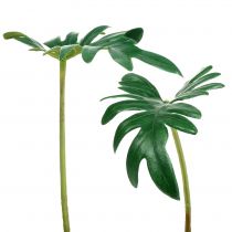 Produkt Filodendron Liściasty 31cm Zielony 12 szt