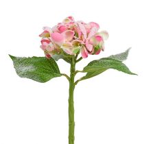 Hortensja różowa ośnieżona 33cm 4szt