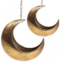 Produkt Kosz wiszący moon deco gold vintage deco 32/22cm zestaw 2 sztuk