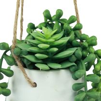 Produkt Kosze wiszące sukulenty sztuczne zielone różne 18cm 3szt