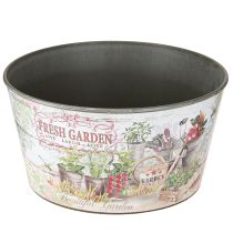 Produkt Miska na kwiaty vintage plastikowa Fresh Garden kolorowa Ø21cm 2szt