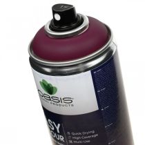 OASIS® Easy Color Spray, farba w sprayu Erika 400ml