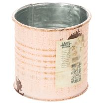Produkt Doniczka dekoracyjna łosoś metalowa puszka na zioła Ø8cm wys.7,5cm