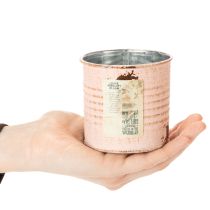 Produkt Doniczka dekoracyjna łosoś metalowa puszka na zioła Ø8cm wys.7,5cm