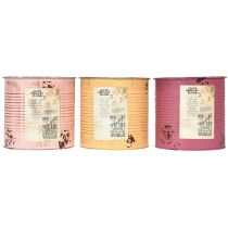 Produkt Doniczka w stylu vintage do salonu i biura, 15 cm, 3 szt.