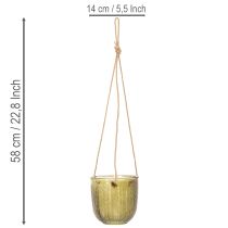 Produkt Doniczka szklana/wisząca latarenka, fioletowo-zielona, 14 cm, 2 sztuki