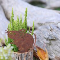 Produkt Doniczka drewniana kora i rdza mysia wys. 24cm