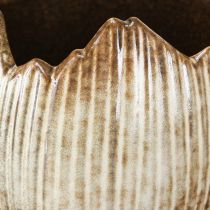 Produkt Doniczka Ceramiczna Jajko Złamane Kremowo-brązowe Ø11,5cm 2 szt