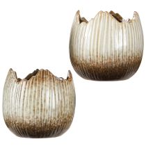 Produkt Doniczka Ceramiczna Jajko Złamane Kremowo-brązowe Ø11,5cm 2 szt