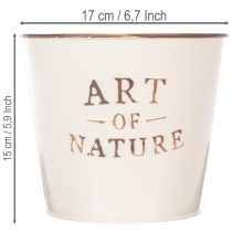 Produkt Doniczka cynkowa Art of Nature Kremowa Ø17,5cm W15cm