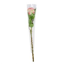Produkt Torebka na kwiaty bez nadruku Dł. 41cm Szer. 3-12cm 50 szt.