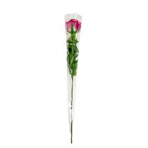 Produkt Woreczek kwiatowy bez nadruku 54x12x3cm 50 sztuk